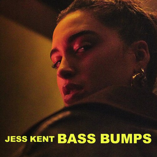 Bass Bumps_poster_image