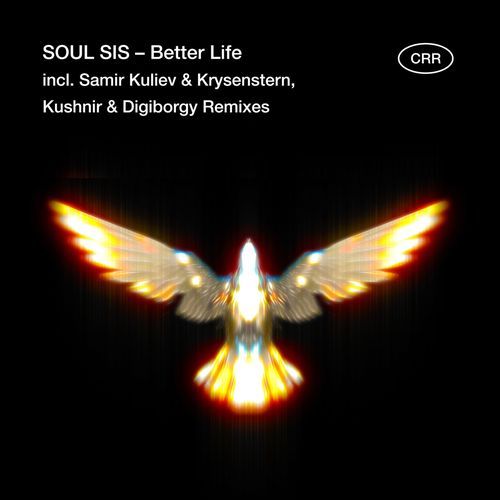 Better Life (Kushnir, Digiborgy Remix) cover art
