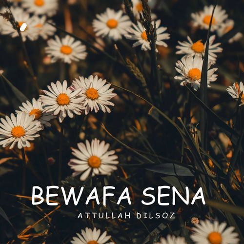 Bewafa Sena