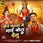 Biche Pandal Me Mai Bol Detu