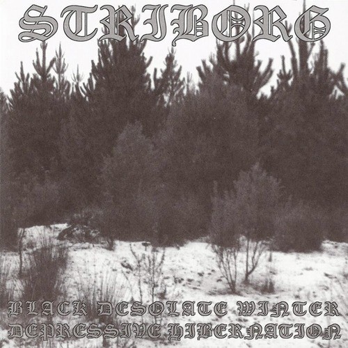 Entangled in the Black Roots of the Forest cover art