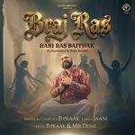 Braj Ras_poster_image