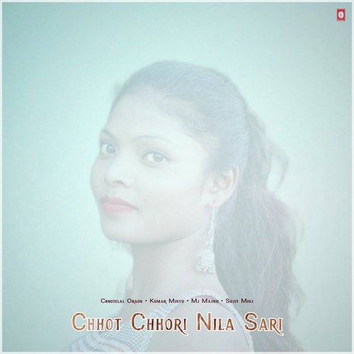 Chhot Chhori Nila Sari