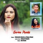 Garima Phaidu artwork