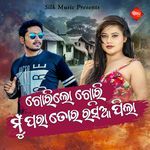 Gorilo Gori Mun Para To Rasia Pila