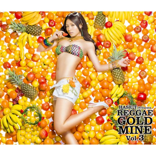 Hase-T Presents Reggae Gold Mine Vol.3 (24 Tracks Edition)_poster_image