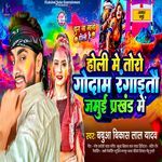 Holi Me Toro Godam Rangaitau Prakhand Me