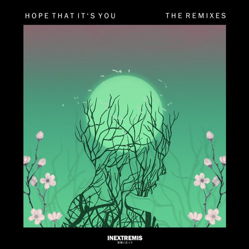 Hope That It's You (The Remixes)_poster_image