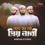 Jete Mon Chay Prio Nabi