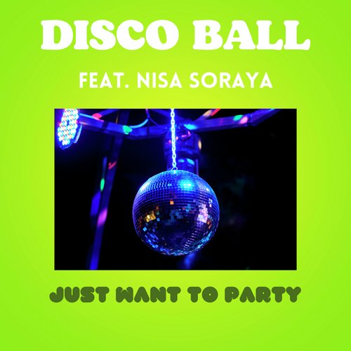 Just Want to Party_poster_image