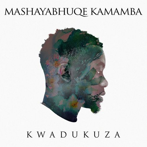 KwaDukuza_poster_image