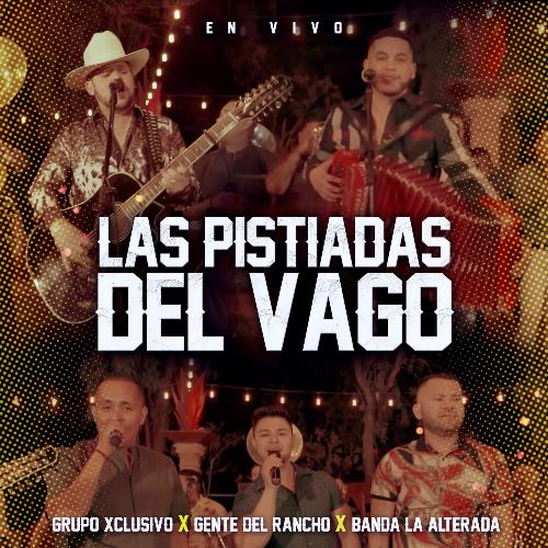 Las Pistiadas Del Vago (Live)_poster_image