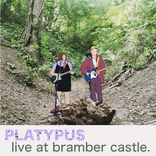 Live at Bramber Castle