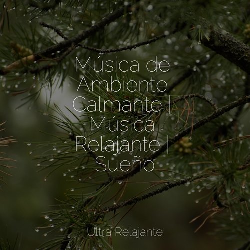 Música de Ambiente Calmante | Música Relajante | Sueño