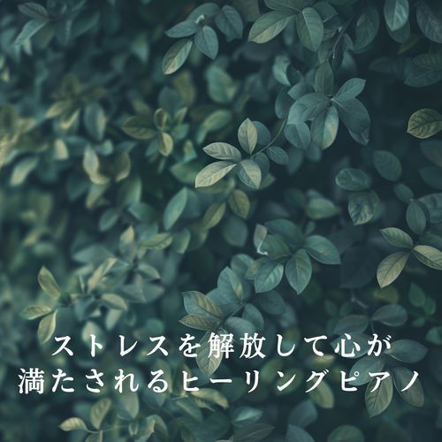 Awaken the Gentle Soul cover art