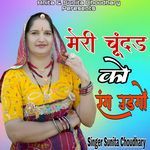 Meri chundhad ko rangh udhago