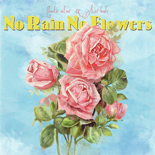 No Rain No Flowers_poster_image