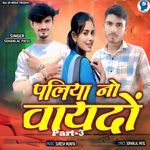 Paliya No Vaydo Part-3