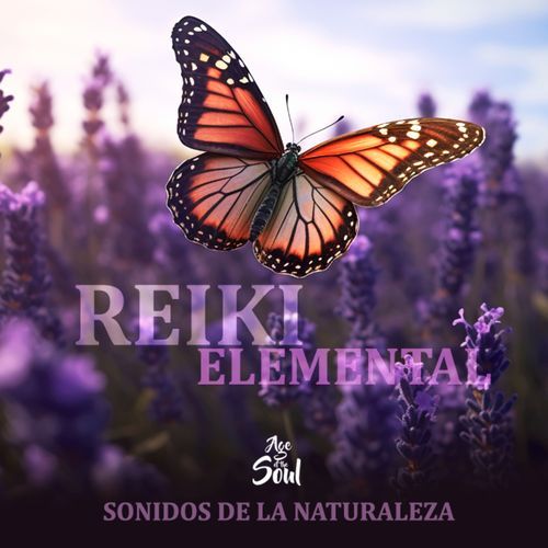 Grillos Nocturnos cover art