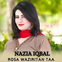 Rosa Waziritan Taa-JA1GbhpkaF0