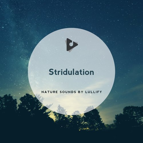Mother of Nature cover art