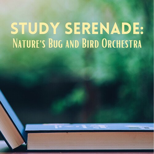 Concerto for Concentration: Nature's Orchestra cover art
