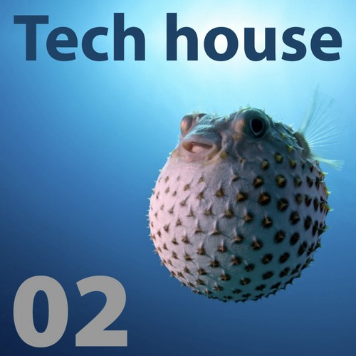 Tech House, Vol.02 (Incl. 36 Tracks)