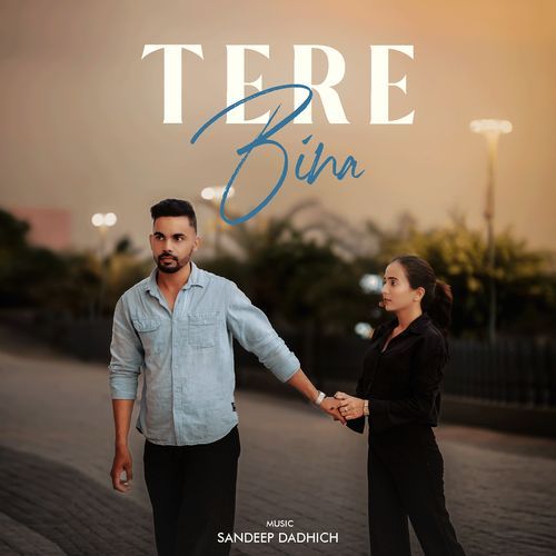 Tere Bina