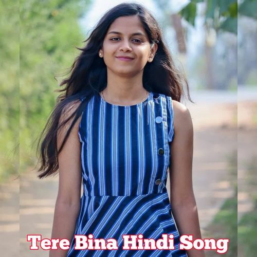 Tere Bina Hindi Song
