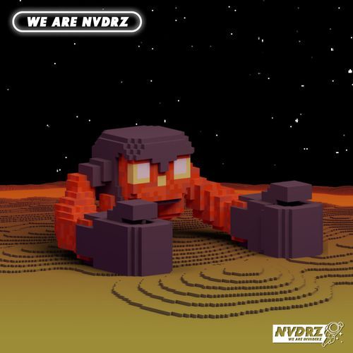 We Are NVDRZ