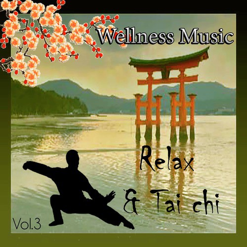 Wellness Music - Relax & Tai Chi, Vol. 3