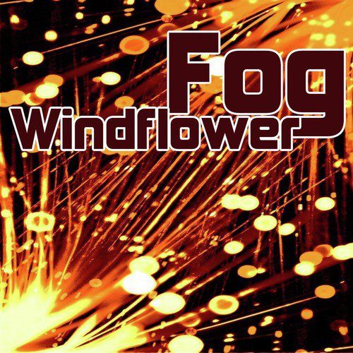 Windflower (Aerodroemme Remix) cover art