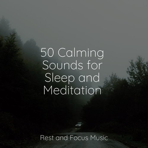 50 Calming Sounds for Sleep and Meditation