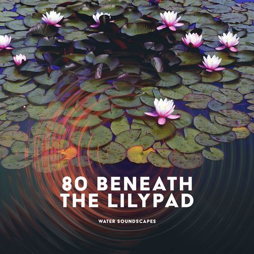 Hydro Calm cover art