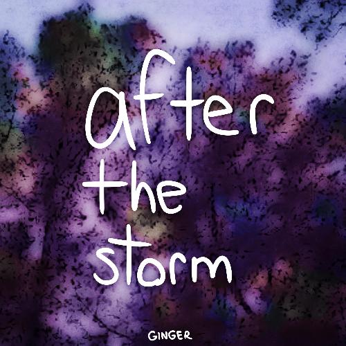 After the Storm_poster_image