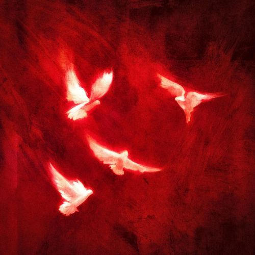 Anesthetic (Slowed Down)