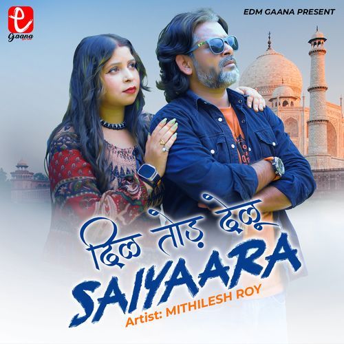 Dil Tod Delu Saiyaara Niyan