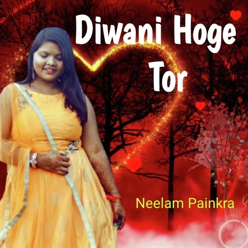 Diwani Hoge Tor