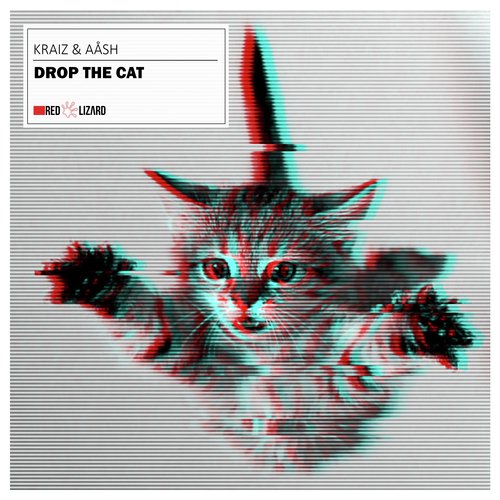 Drop the Cat (Radio Edit)