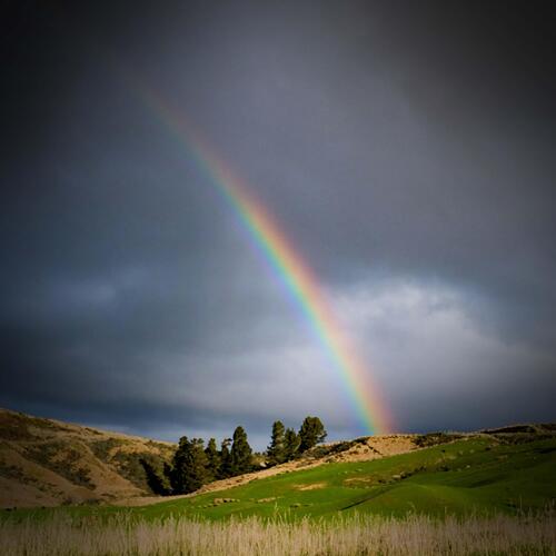 Feel Calm and Relieve Anxiety with After Rain Nature Sounds_poster_image