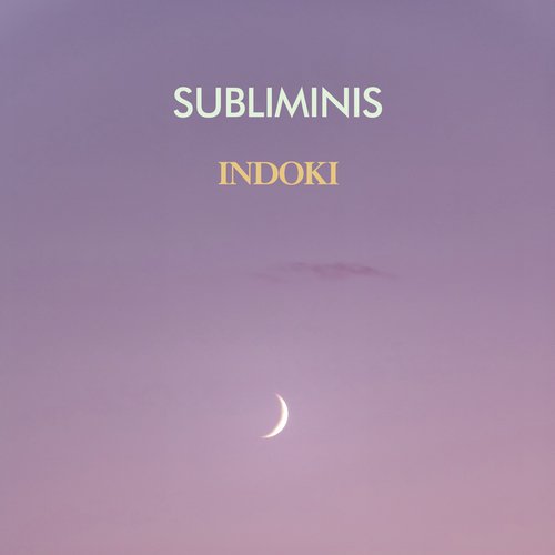 INDOKI cover art