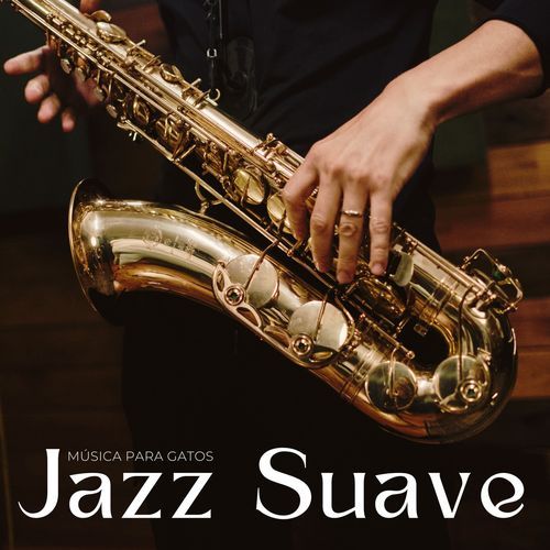 Un Café De Jazz