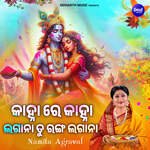 Kanha Re Kanha Lagana Tu Ranga Lagana artwork
