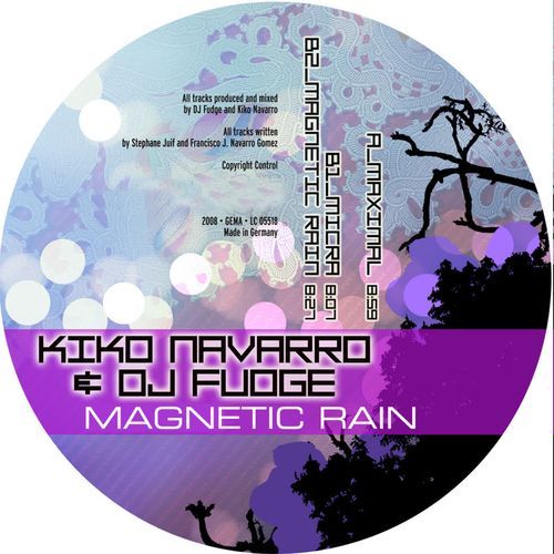 Magnetic Rain_poster_image