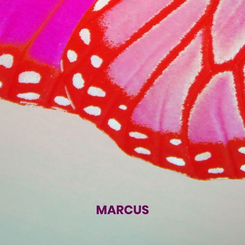 Marcus cover art