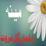 Arman Da Ka Donya Tapy