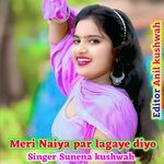 Meri Naiya par lagaye diyo