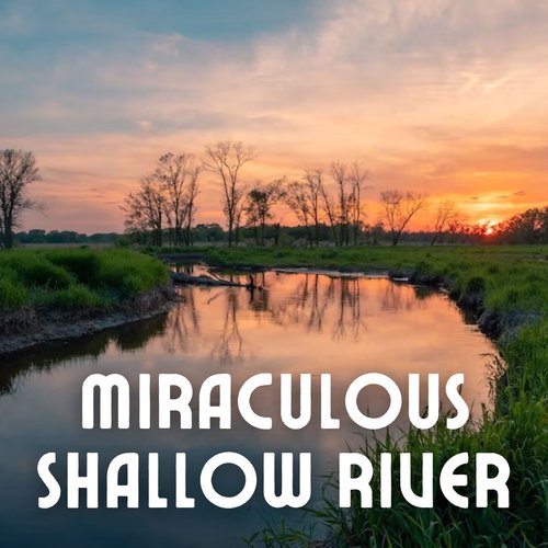 Miraculous Shallow River