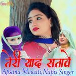 तेरी याद सतावे