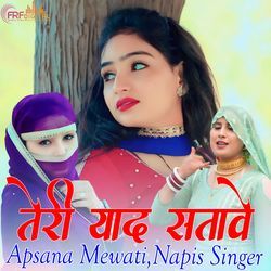 तेरी याद सतावे